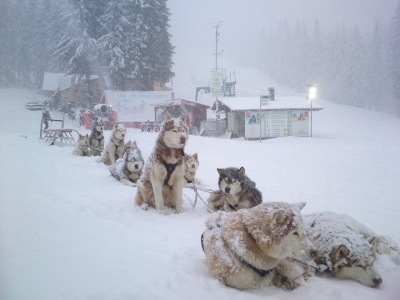 Climate in Pamporovo